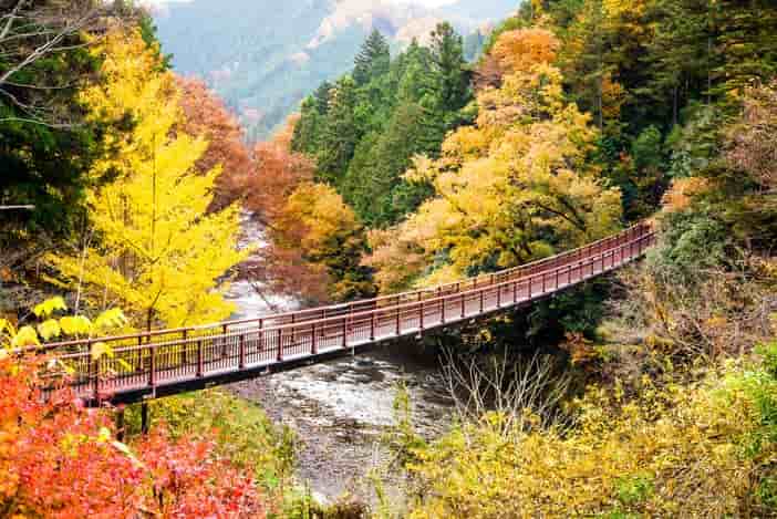 スライダー画像4