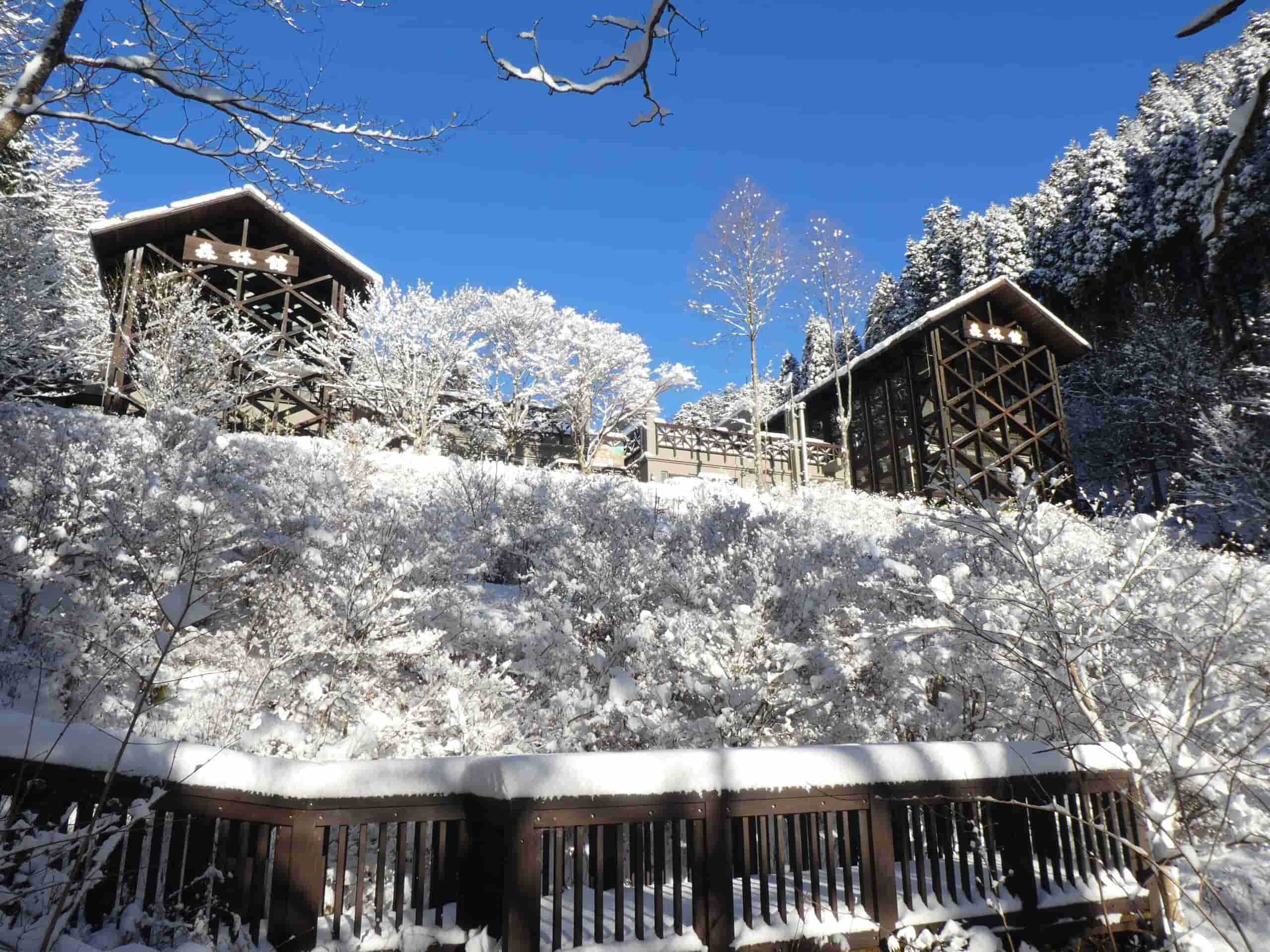 スライダー画像5